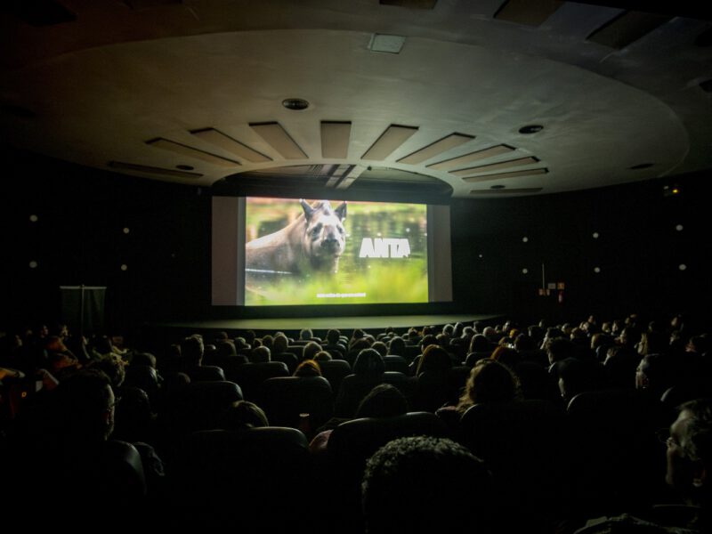 Por trás de uma grande história: ANTA – O Filme