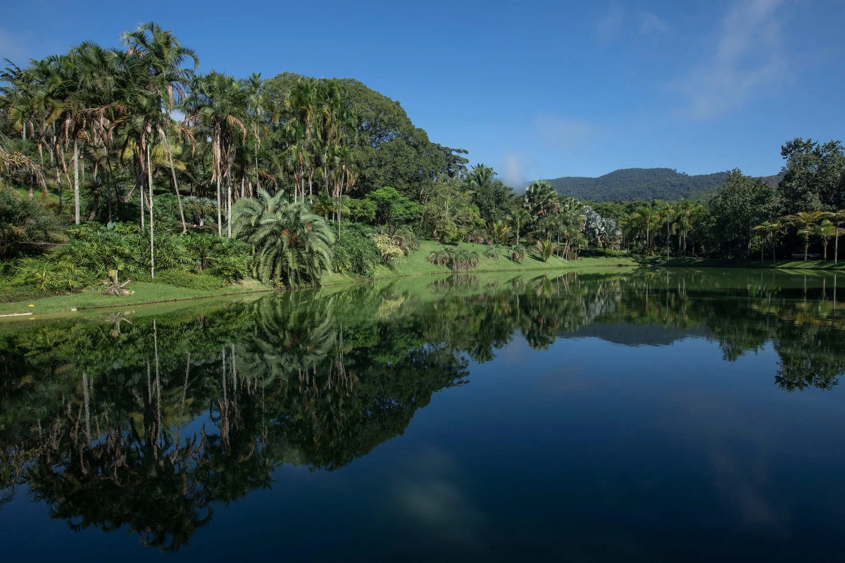 Jardim Botânico Inhotim